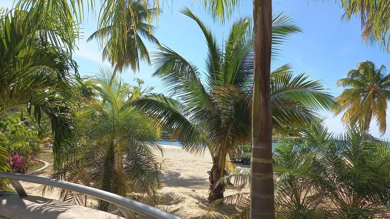 Beach One Bedroom 2 오쵸 리오스 아파트호텔