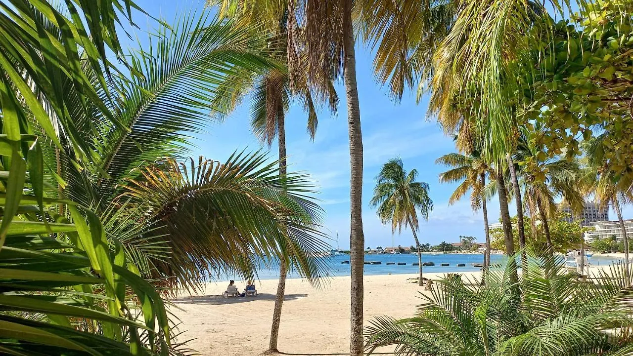 Beach One Bedroom 2 Ocho Rios Jamajka
